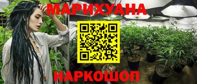 Альфа ПВП Нягань