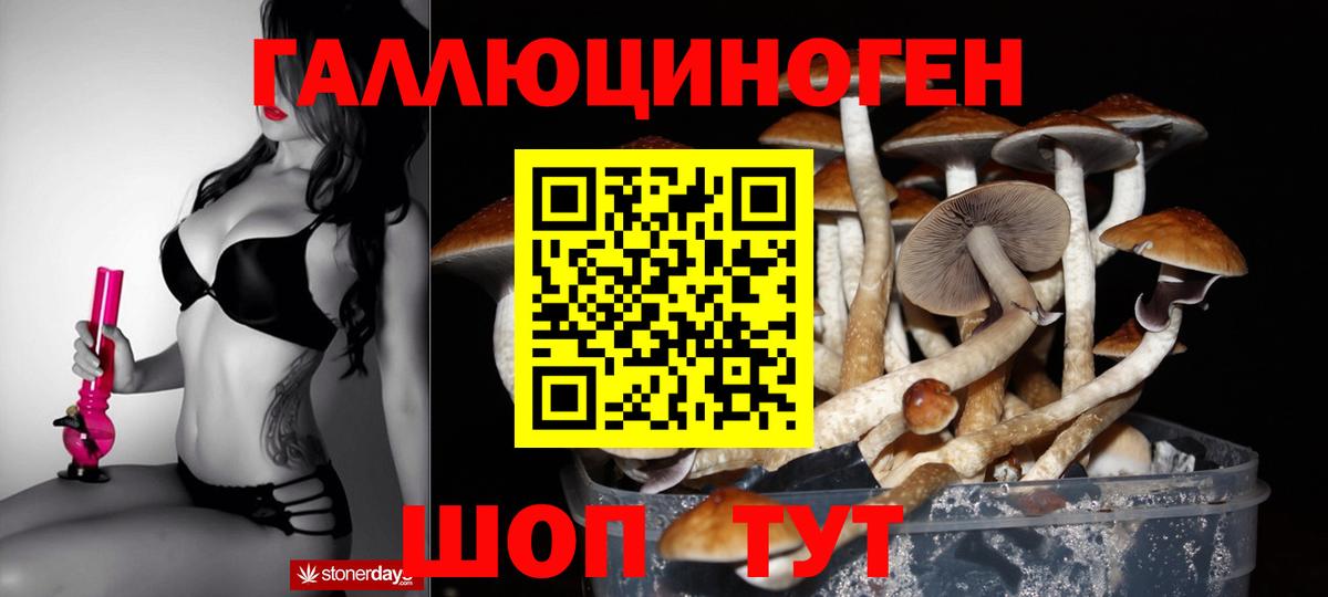 Псилоцибиновые грибы Psilocybine cubensis  Псилоцибиновые грибы MAGIC MUSHROOMS  Полысаево  Вход с VPN 